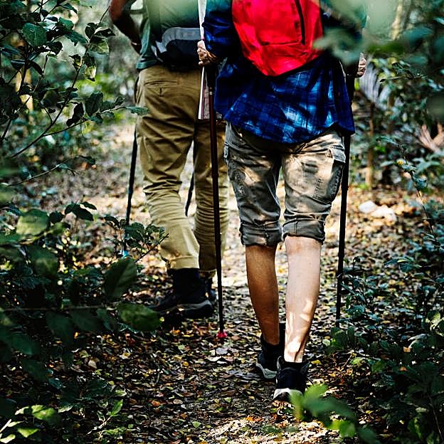 Pareja practicando nordic walking en el bosque. 