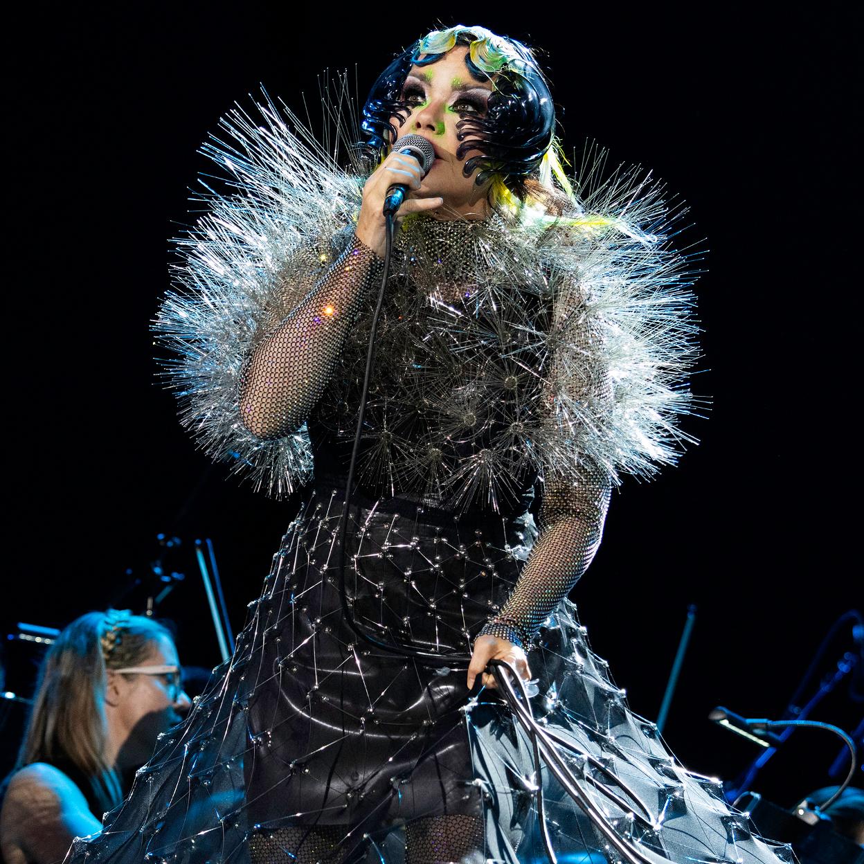 La cantante islandesa Björk.