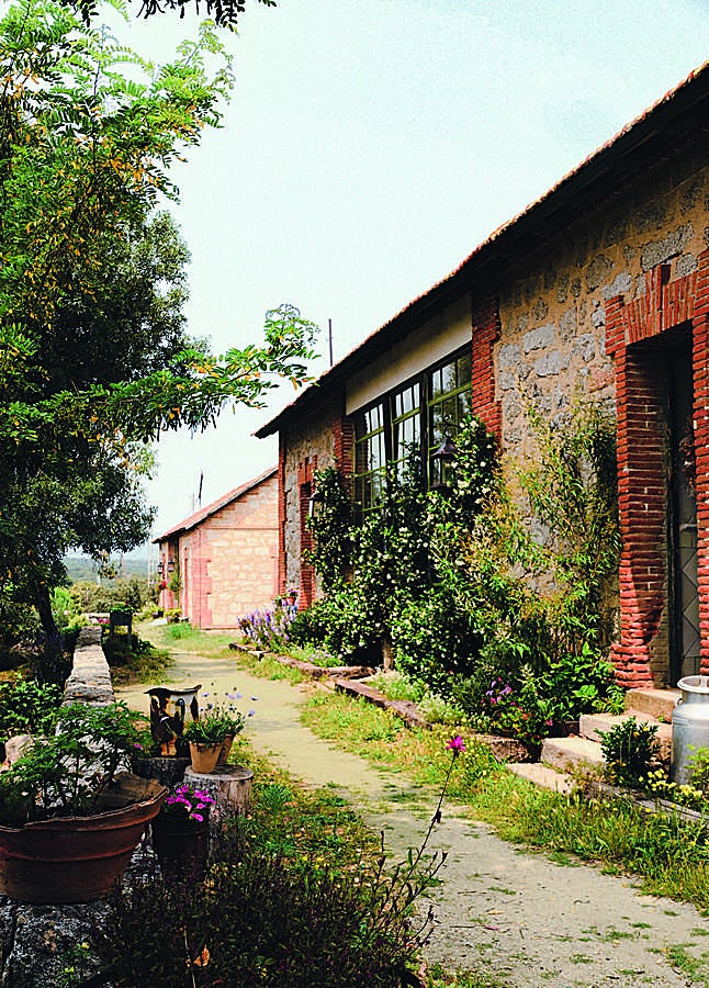 Imagen - Exterior de una de las casetas de Los Rosales