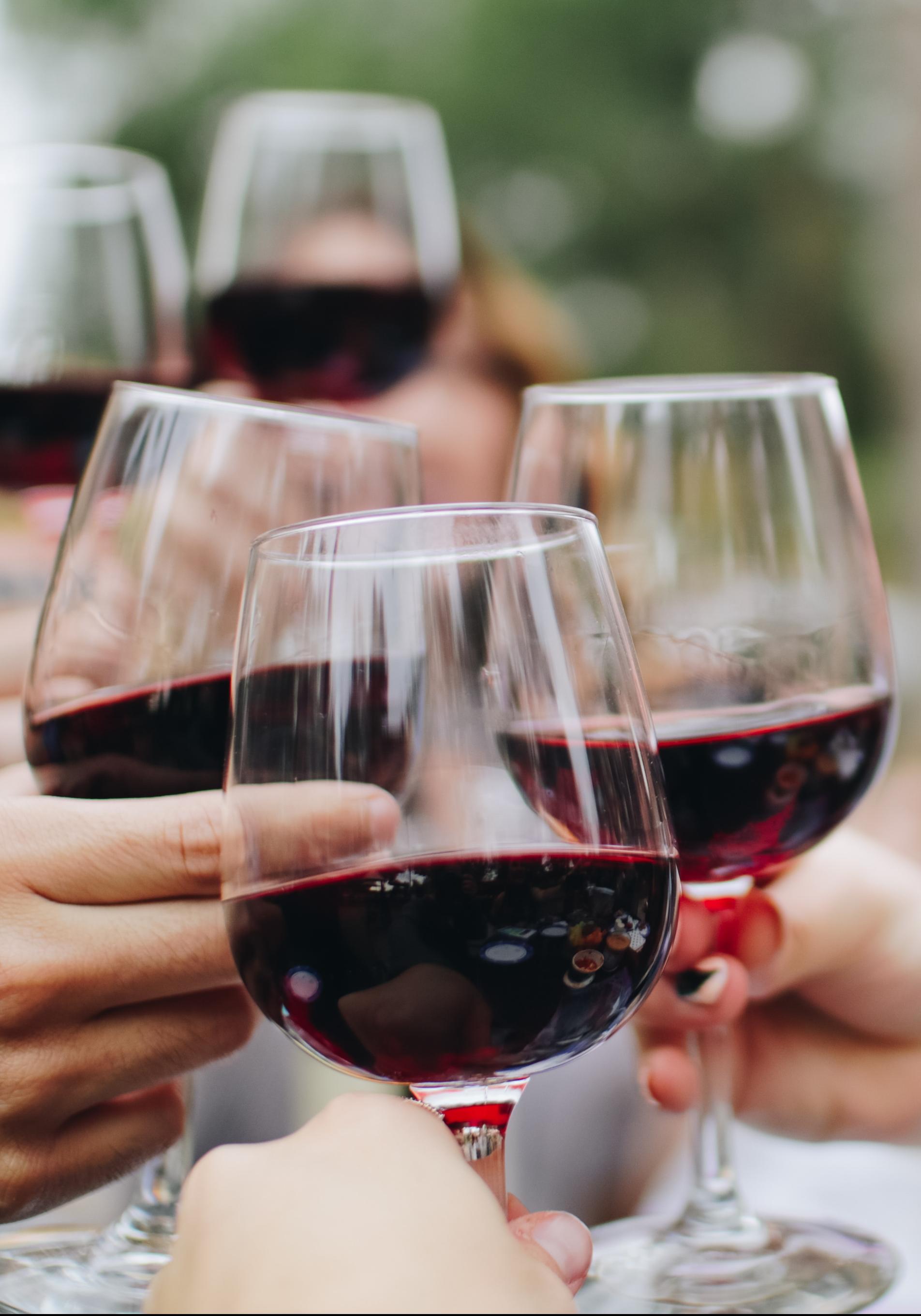 Cinco vinos tintos recomendados en 2023