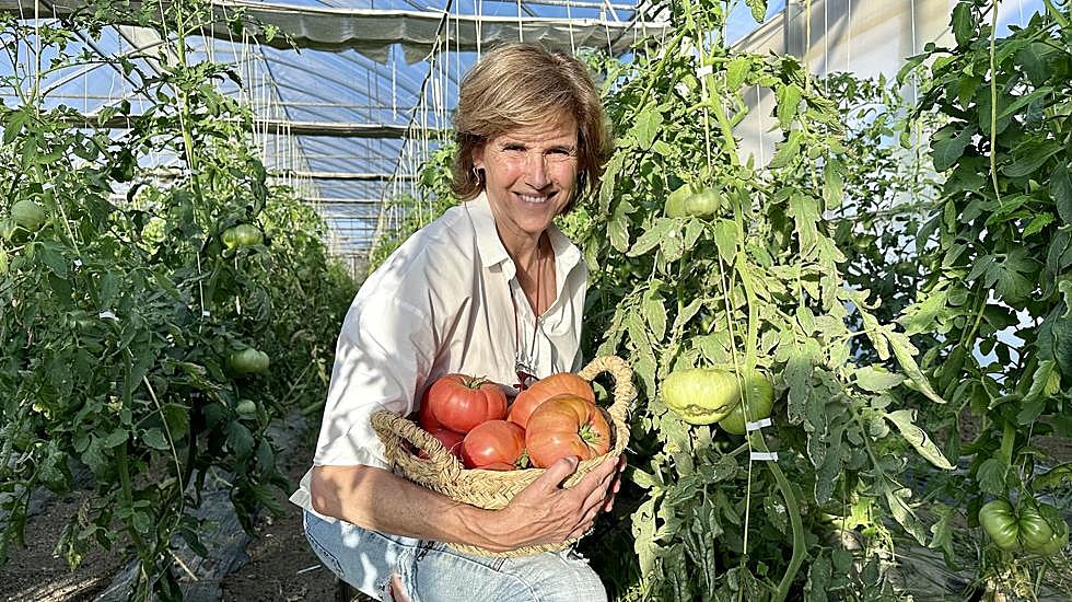 Blanca Entrecanales en su cultivo ecológico.