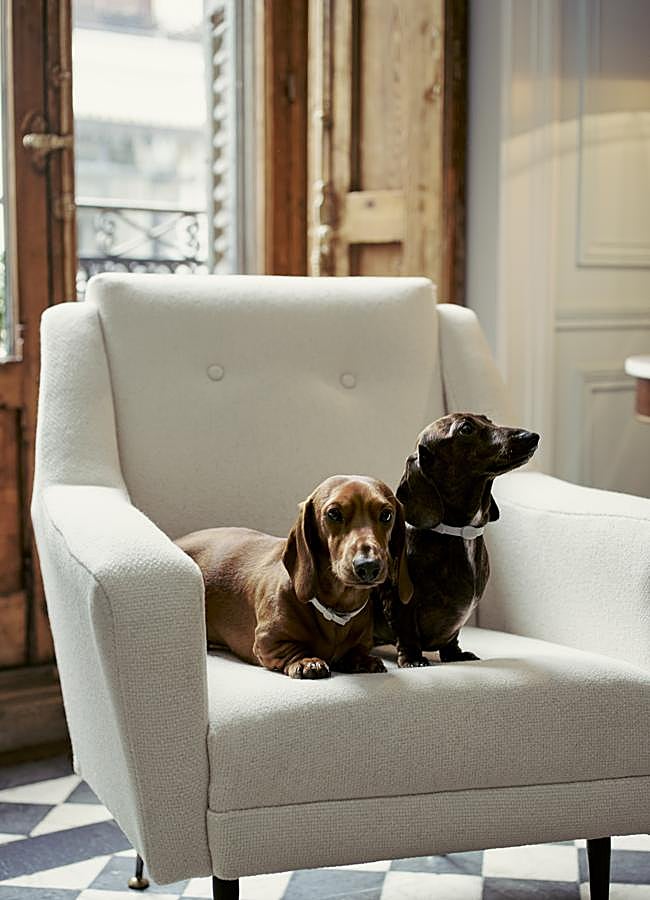 Imagen - Thomas y Philippa, los Teckle de Jorge Vázquez.