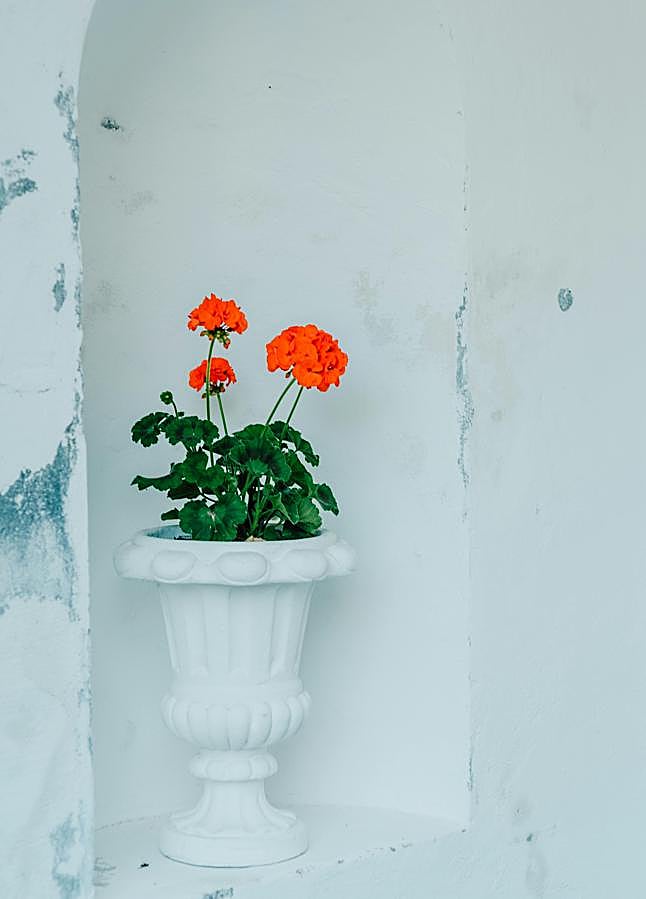 Imagen - Foto: Pexels.