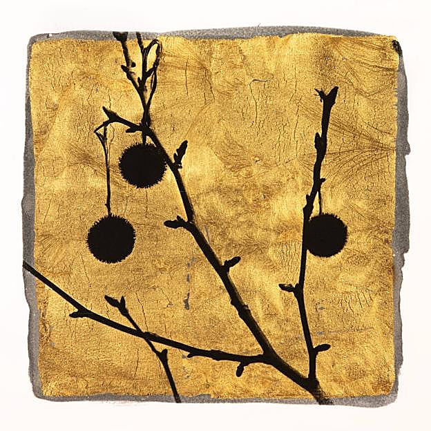 Imagen principal - Arriba, Arbres II, de Harald Gottschalk. Abajo, La mort d'Abel (Esteban Pelaez), 2007, de Pierre et Gilles; y Yumemiru II, 2017, de Paul Cupido.