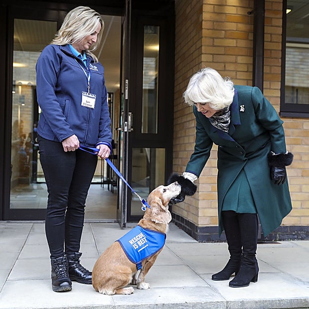 La reina Camilla luciendo otro de sus broches. 