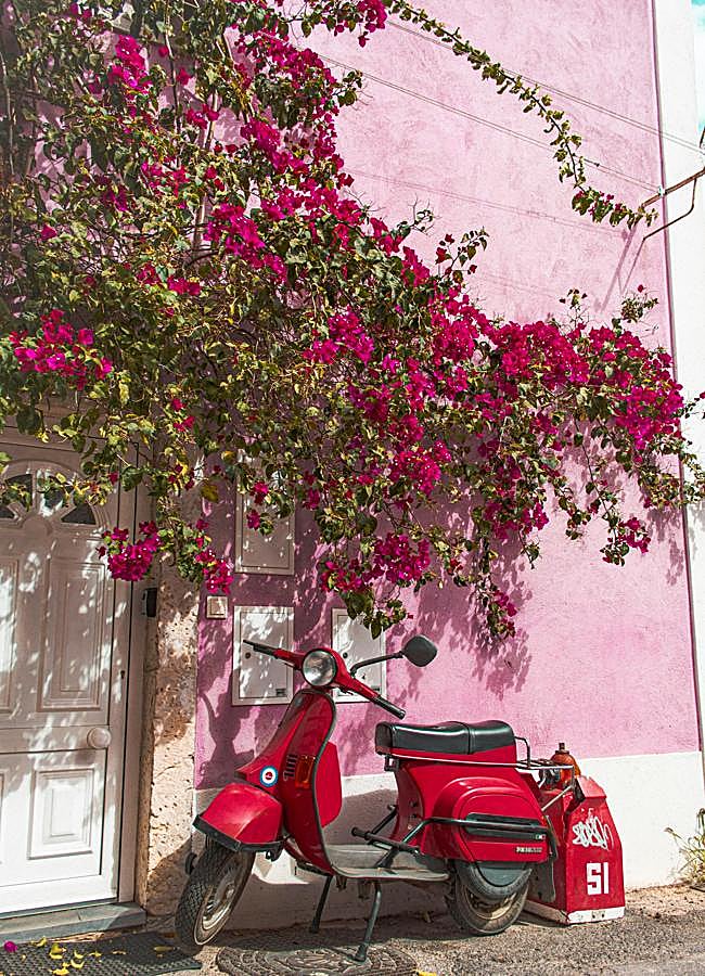 Imagen - Foto: PEXELS.