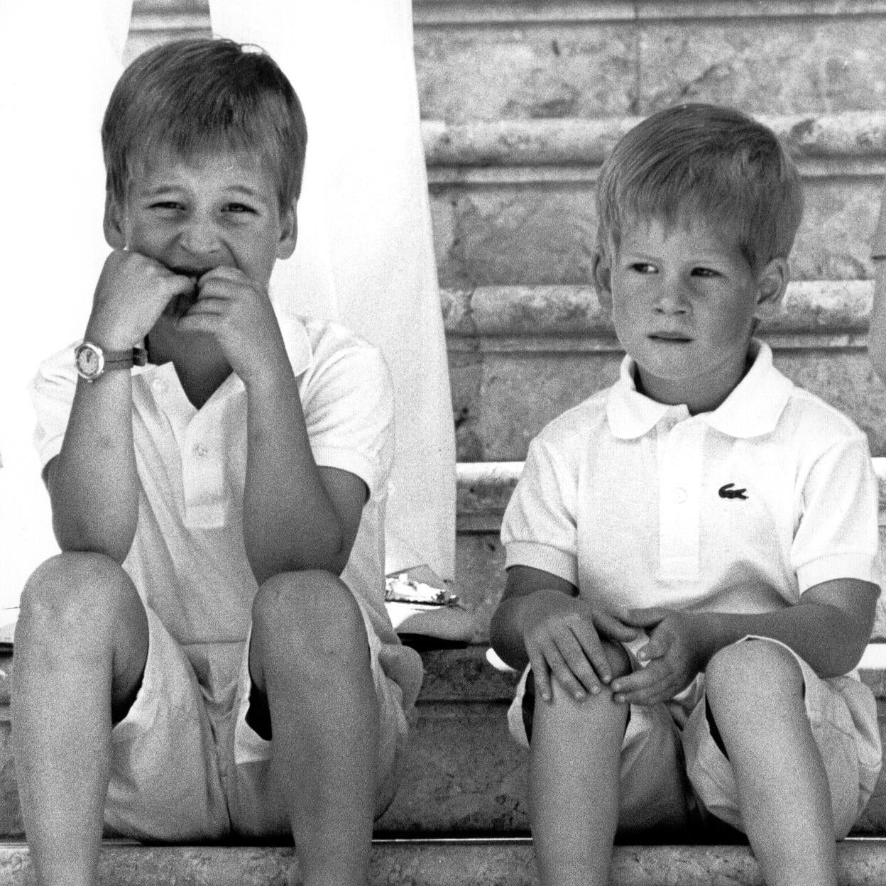 El príncipe Harry, junto a su hermano Guillermo en una imagen de su infancia. 