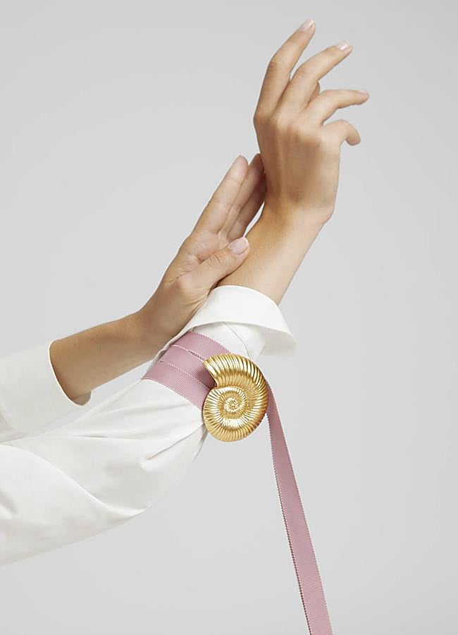 Imagen - Amonite contra el cáncer de Simorra.