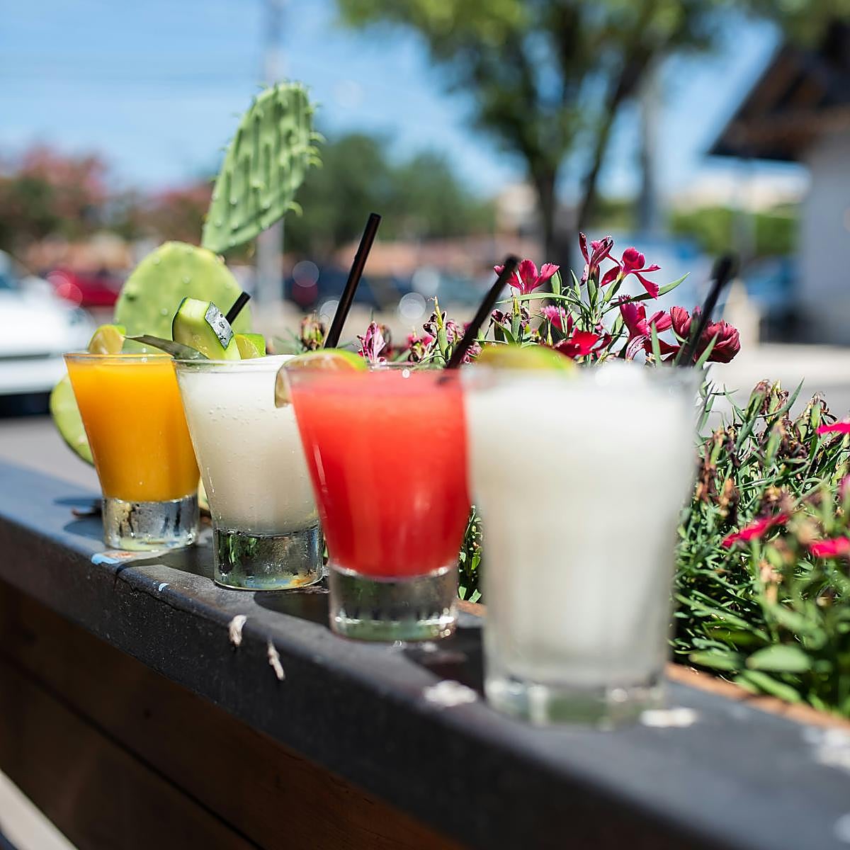 Los mejores cócteles para el verano.