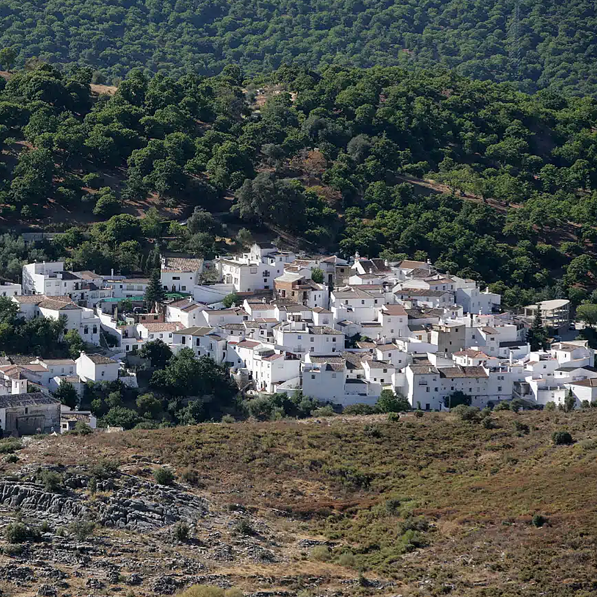 Parauta es un pueblo blanco enclavado en el malagueño valle del Genal.