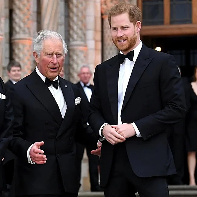 El rey Carlos y el príncipe Harry en su último encuentro en público.