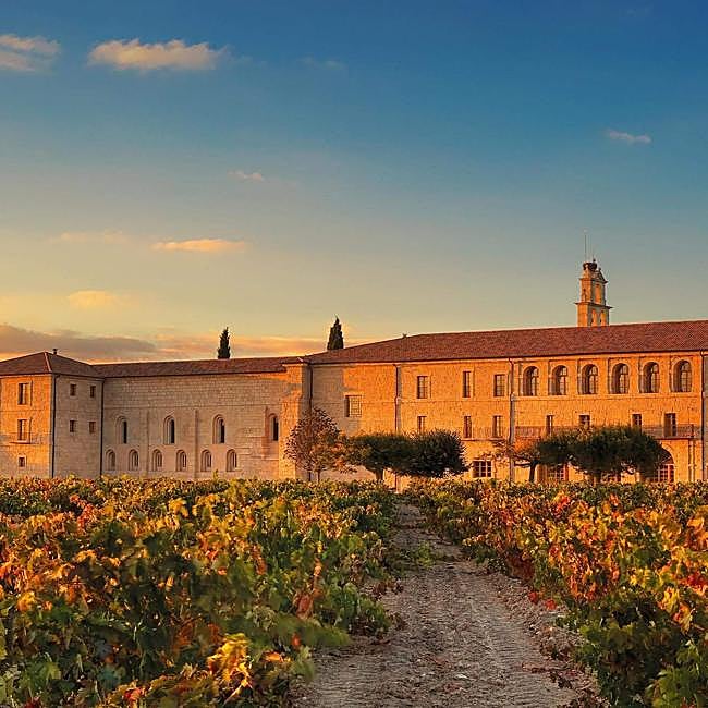 3D Collagen Shock en Abadía Retuerta LeDomaine.