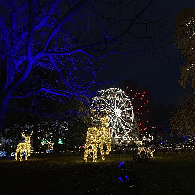 Christkindlmarkt Rathausplatz de Viena