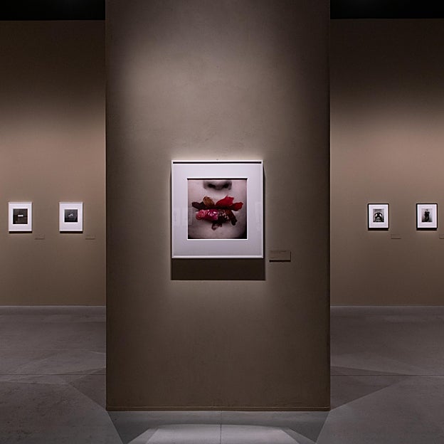 Una imagen de la exposición Irving Penn: Centennial. / 
