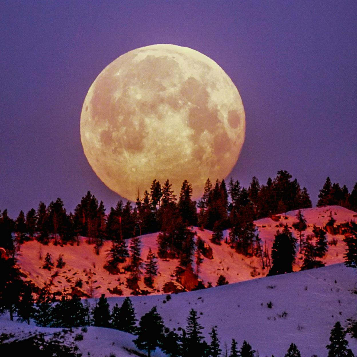 La luna llena viene con muchas propiedades que debes aprovechar. 