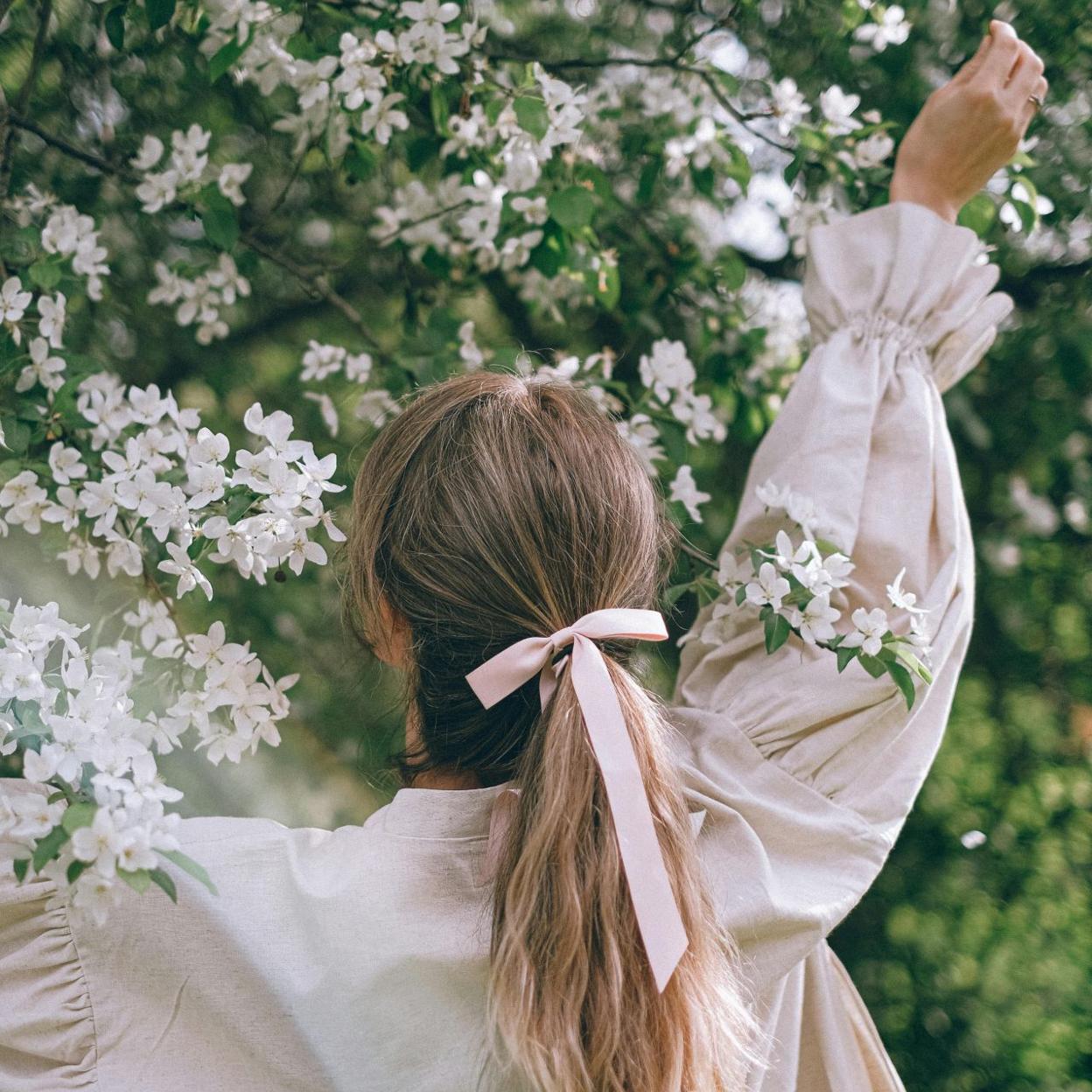 Trucos fáciles para eliminar los pulgones de las plantas.