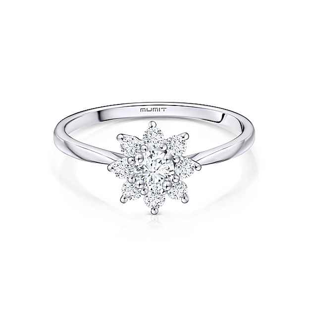 Sortuja Rosette de Mumit.