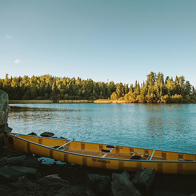El silencio del bosque, la adictiva novela negra que te enganchará de principio a fin