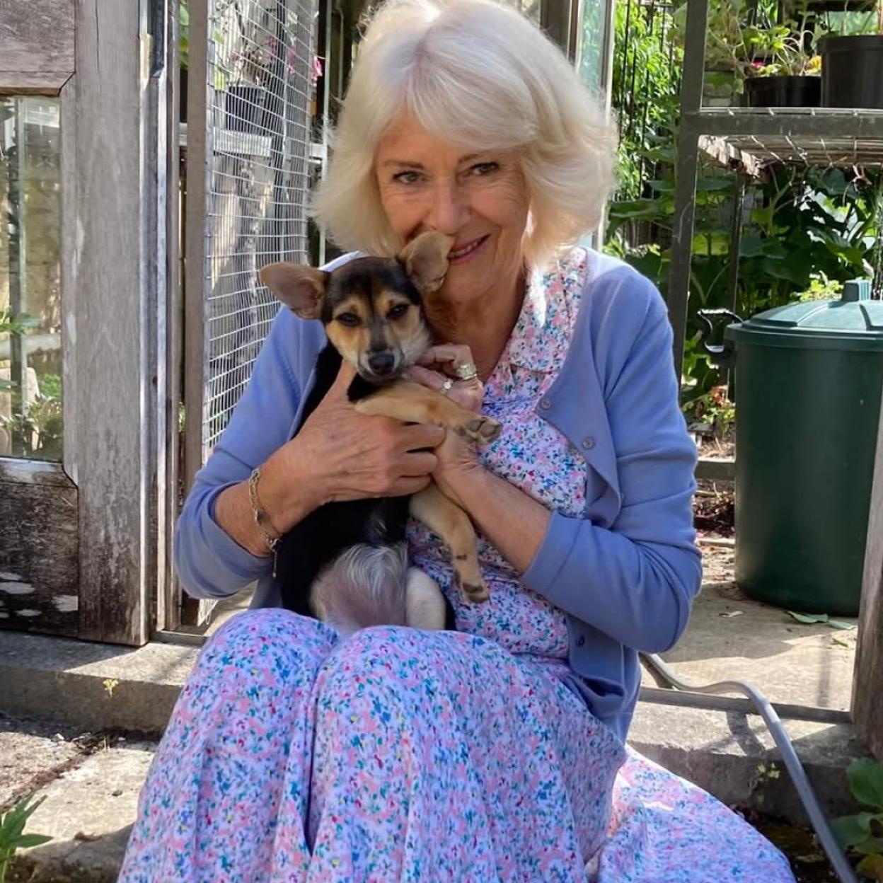 La reina Camilla nos presenta a la perrita Moley. 