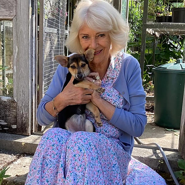 La reina Camilla presenta al miembro más reciente de la familia real británica: así es Moley