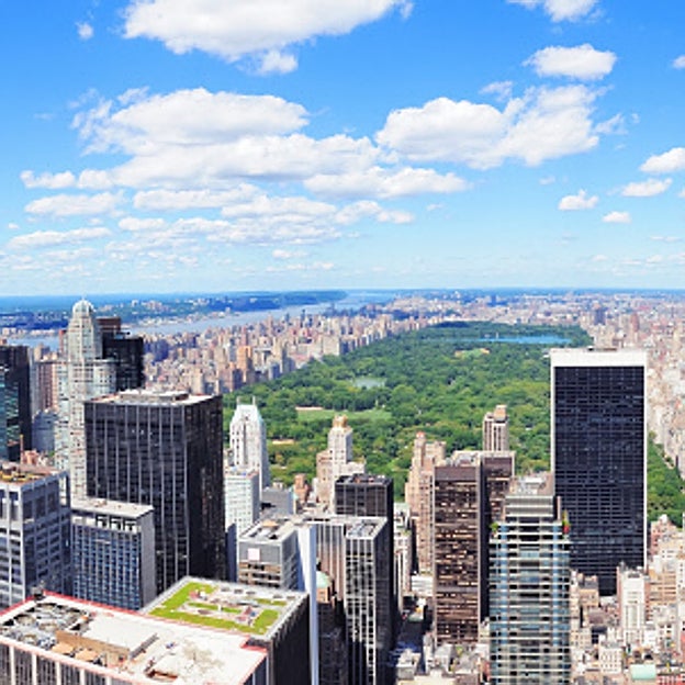 El skyline de Nueva York con Central Park al fondo. 