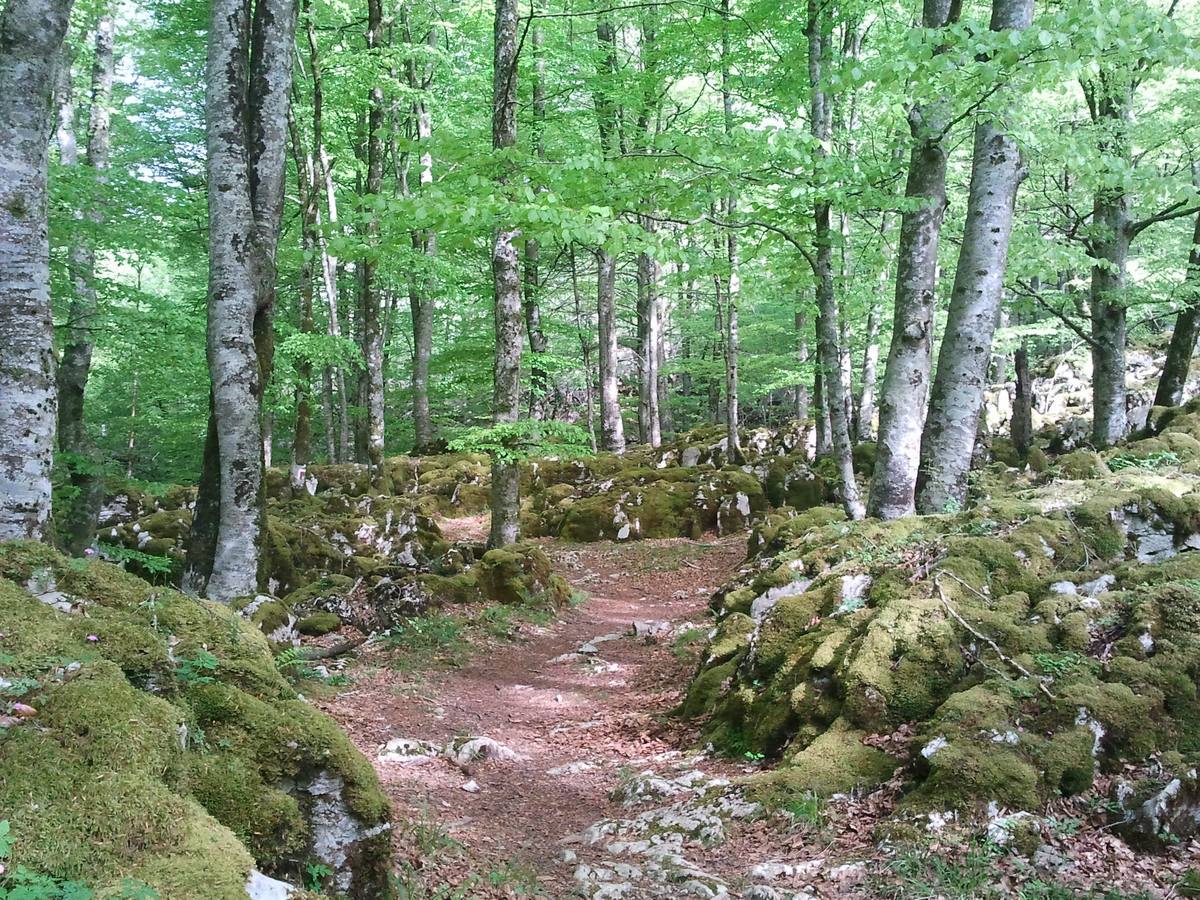 Cinco montes navarros de la sierra de Aralar