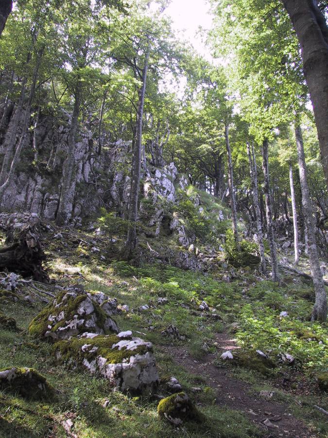 Senda a Peña Cimera (Puttarri).