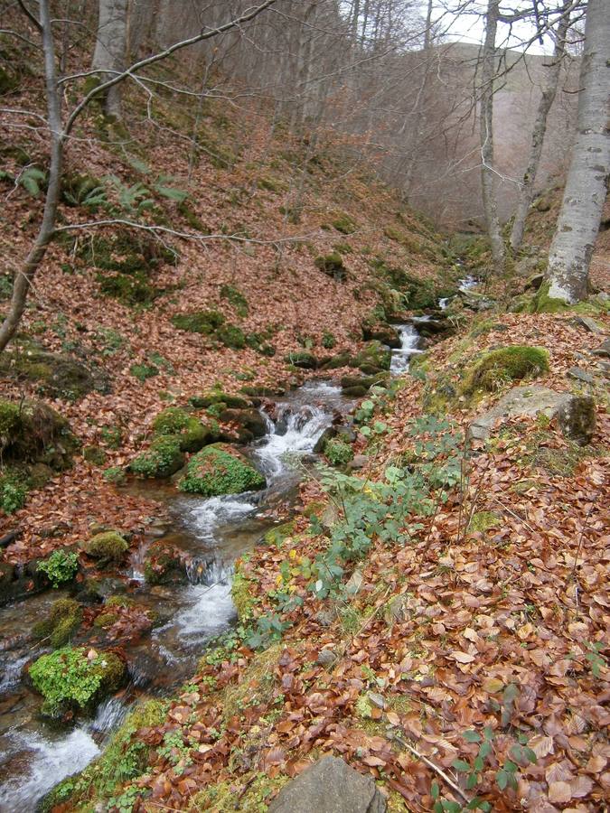 Nacedero del río Tobía.. 