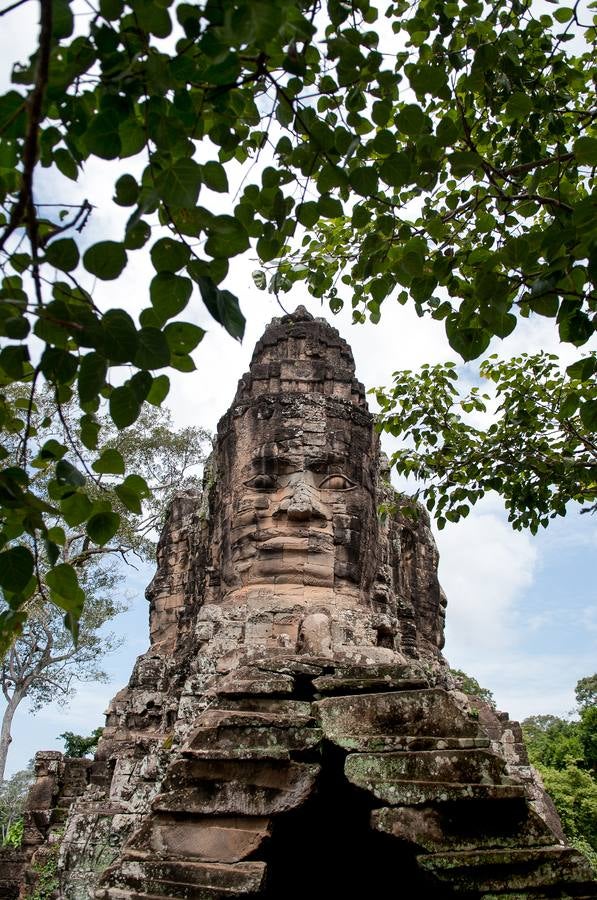 Un reino de pesadilla
