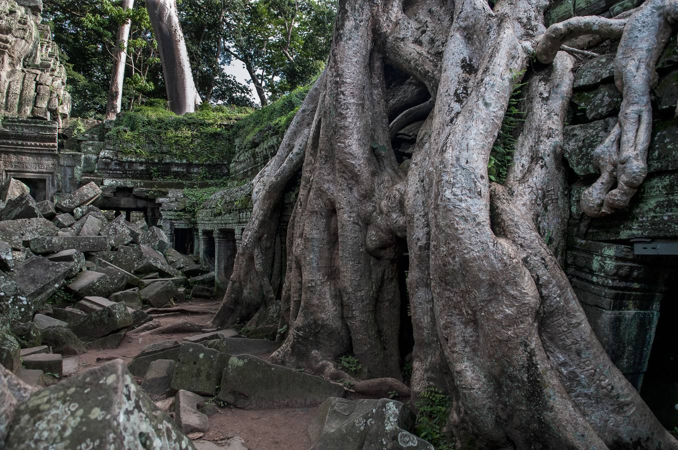 Un reino de pesadilla