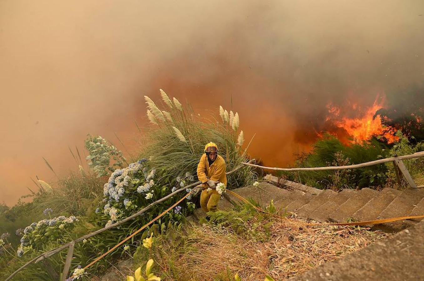 El fuego azota Madeira