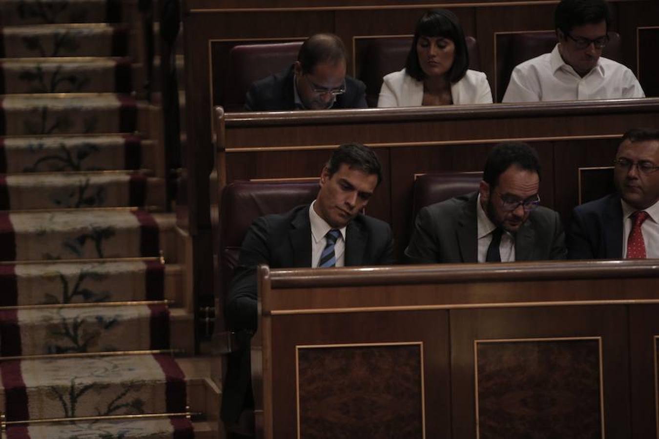 Pedro Sánchez, líder del PSOE junto a Antonio Hernando en el hemiciclo.