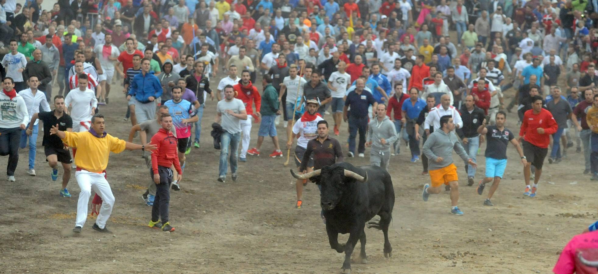 Tordesillas celebra su primera fiesta sin Toro de la Vega