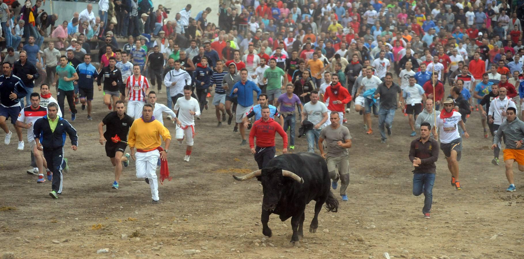 Tordesillas celebra su primera fiesta sin Toro de la Vega