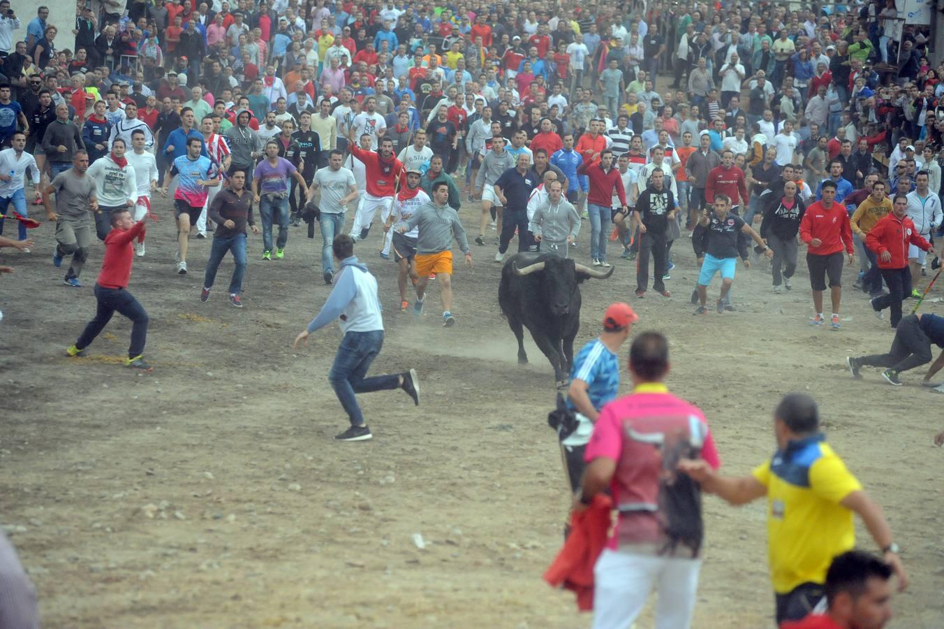 Tordesillas celebra su primera fiesta sin Toro de la Vega