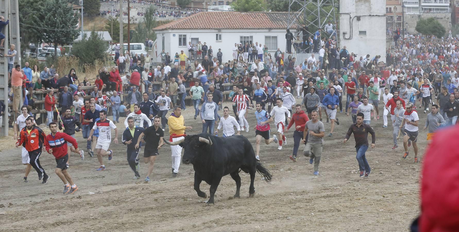 Tordesillas celebra su primera fiesta sin Toro de la Vega