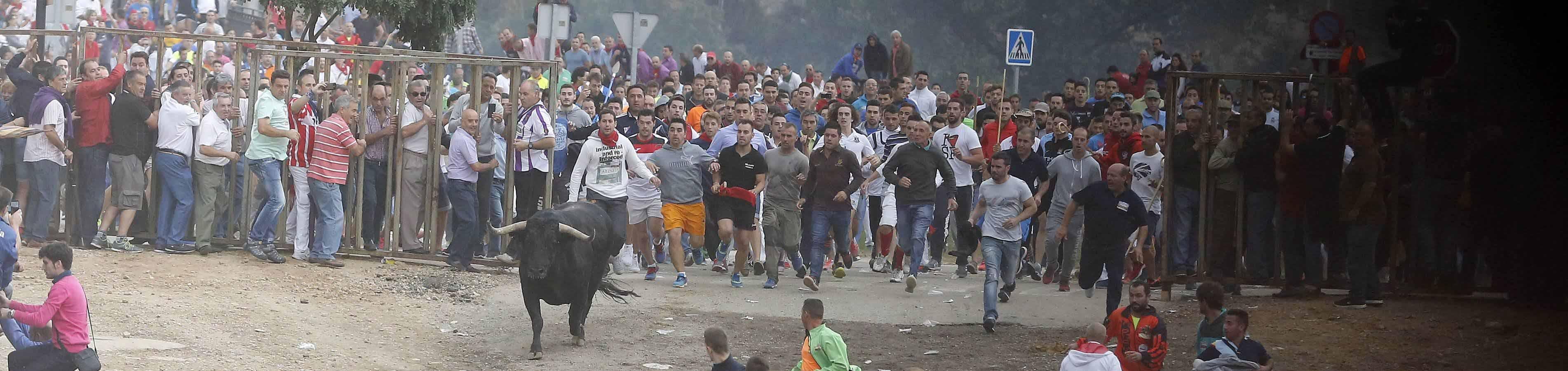 Tordesillas celebra su primera fiesta sin Toro de la Vega