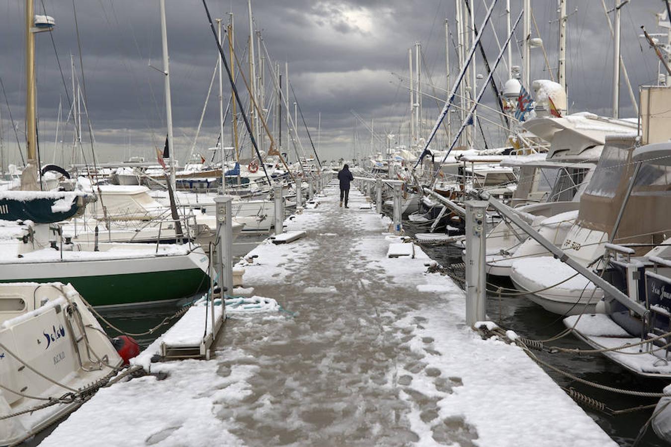 El puerto de Denia (Alicante) cubierto de nieve.