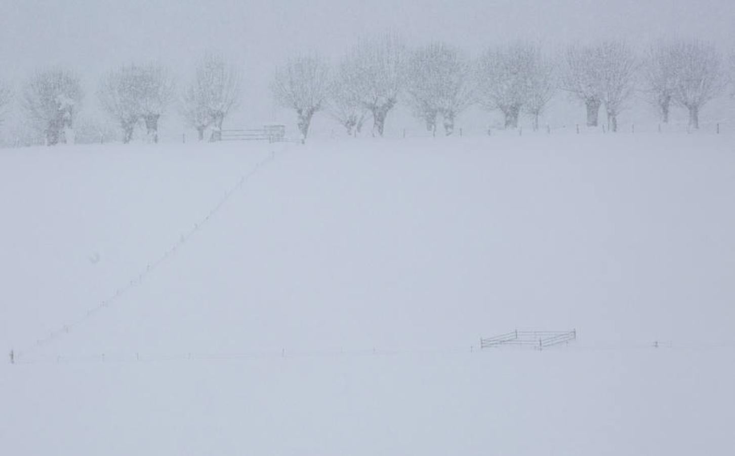 La nieve cubre Roncesvalles (Navarra).