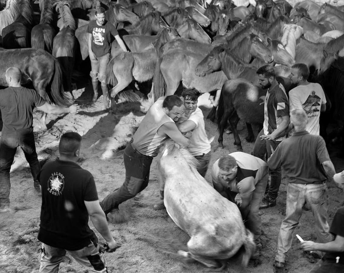 Por regla general el caballo queda de pie pero según las fuerzas van disipándose es más frecuente caer al suelo arrastrado por el caballo y es cuando se producen las situaciones de mayor peligro y las más espectaculares.