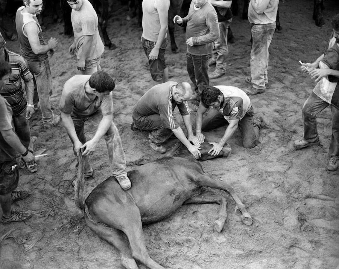 Es el momento en el que la camaradería aflora y los compañeros acuden raudos a proteger a aquellos que se encuentran en situación de peligro alejando con sus manos al resto de bestias.