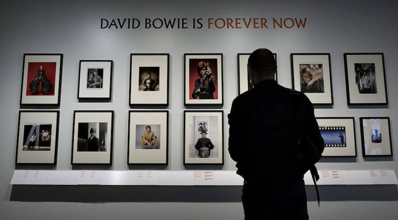 Un paseo por la vida de Davi Bowie