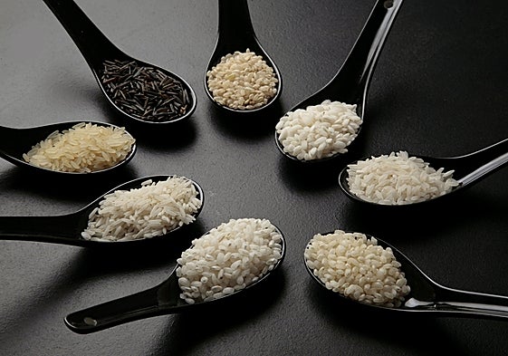 Cucharas con arroces de diferentes variedades