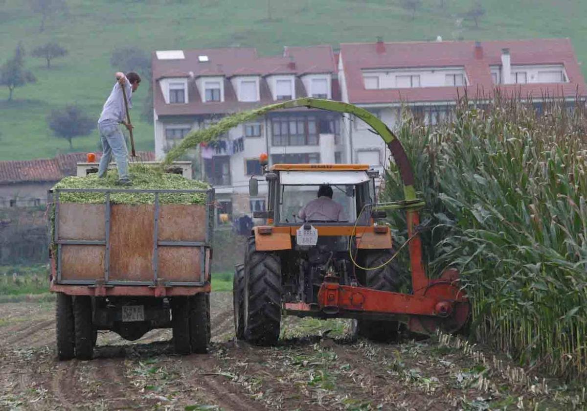 El campo es el sector donde más incidencia tiene la subida del salario mínimo.