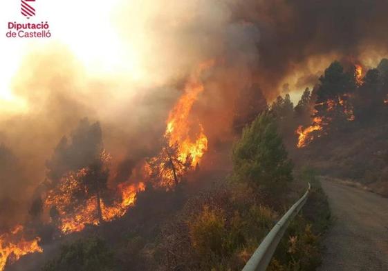 Una brigada municipal provocó el incendio de Castellón cuando limpiaba una senda