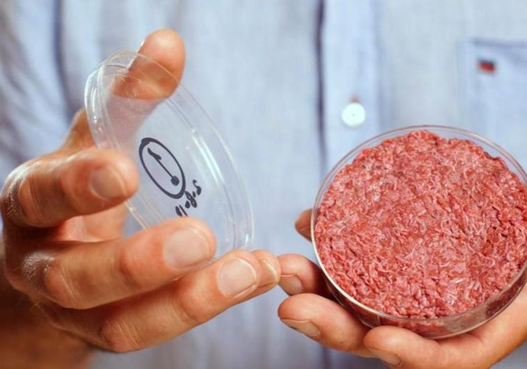 Italia prohíbe la venta y producción de carne sintética
