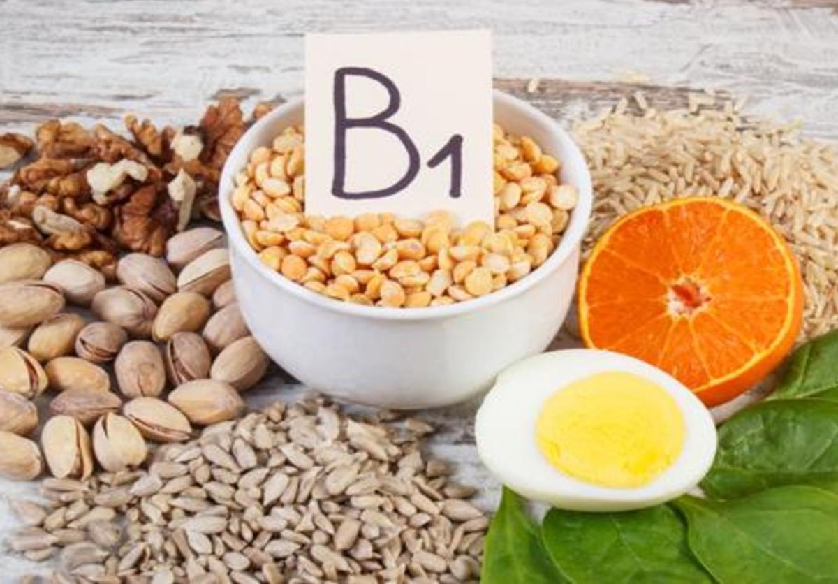 El descubrimiento de la tiamina o vitamina b1: una aventura científica | la verdad