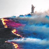 El hombre está detrás del 80% de los incendios