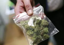 Una bolsa con cannabis.