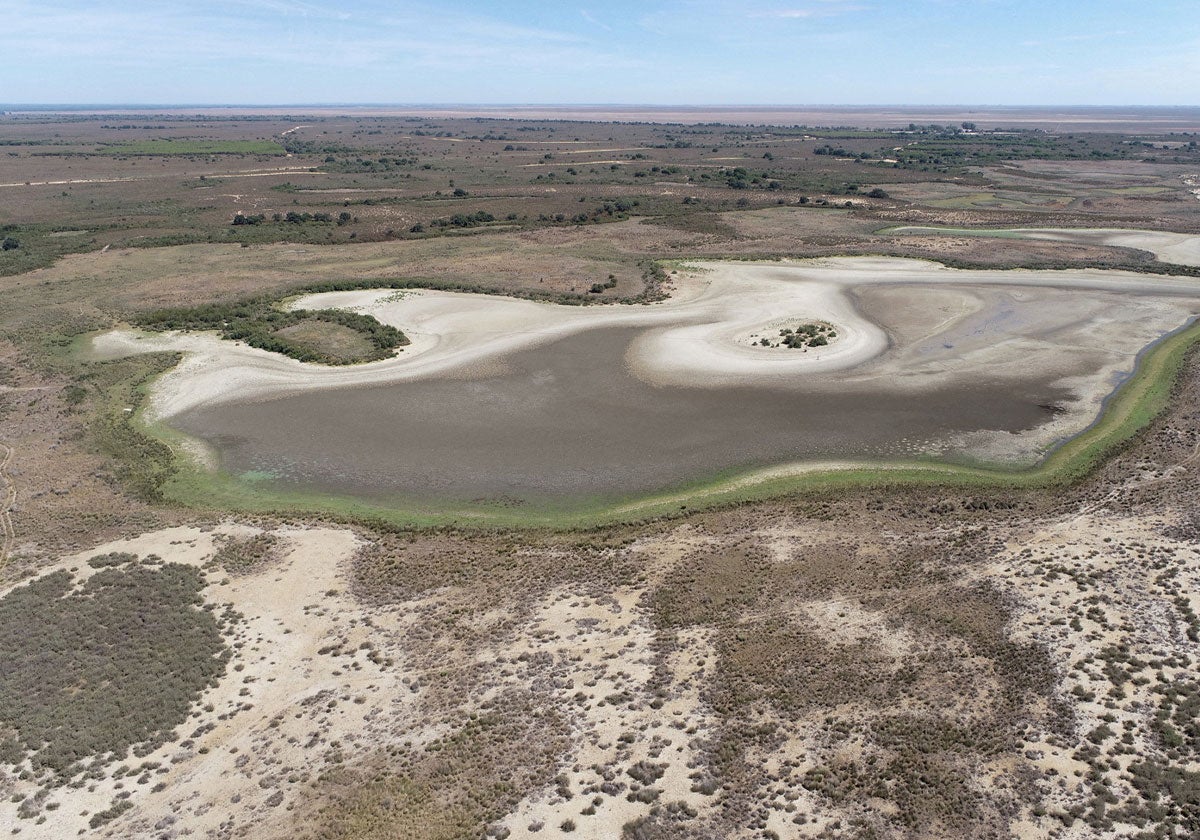 Imagen antes - NO ARRASTRAR -Doñana está en la UCI